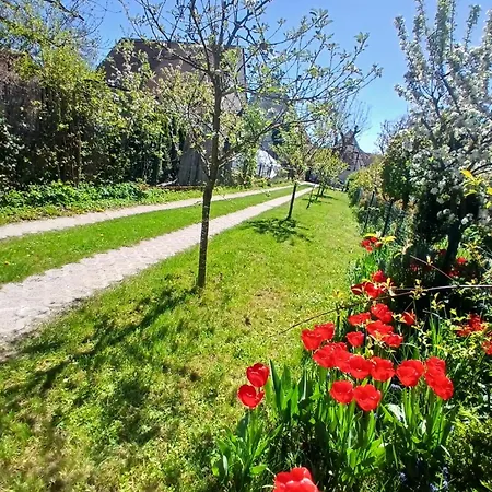 Apartman M&m Mit Garten Ebenerdig 110qm 3 2x Bad Eggolsheim